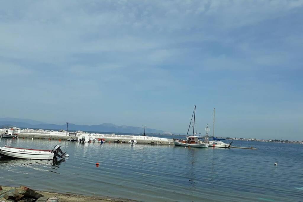 Amazing Sea View-Neos Pyrgos Beach -Evoia Greece 네오스 피르고스 외부 사진