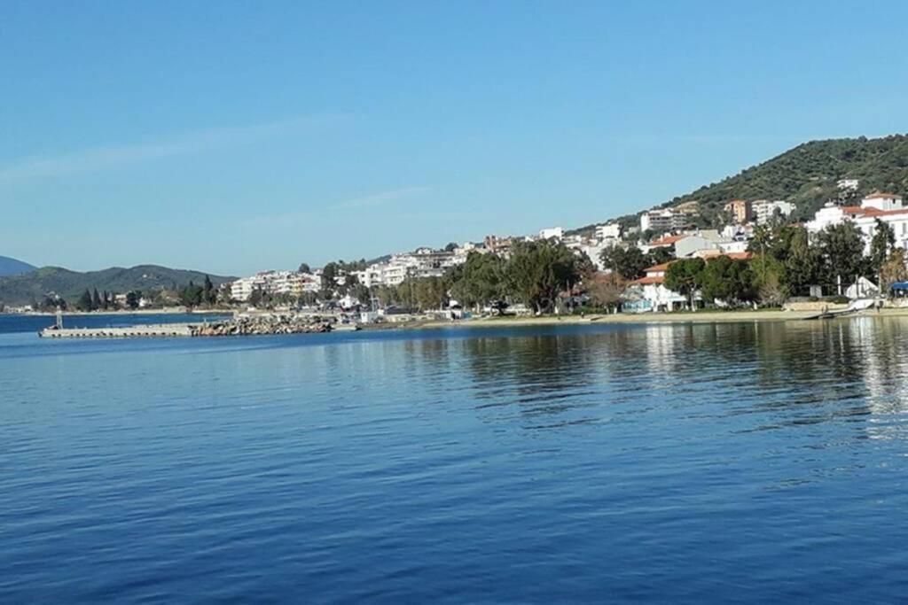 Amazing Sea View-Neos Pyrgos Beach -Evoia Greece 네오스 피르고스 외부 사진