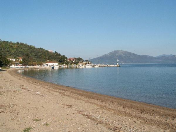 Amazing Sea View-Neos Pyrgos Beach -Evoia Greece 네오스 피르고스 외부 사진