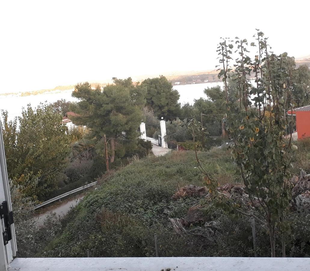 Amazing Sea View-Neos Pyrgos Beach -Evoia Greece 네오스 피르고스 외부 사진